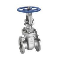 ANSI Standard ASTM A351 Stainless Steel 304 304L 316 316L CF3 CF3M CF8 CF8M Materials Flanged End Gate Valve