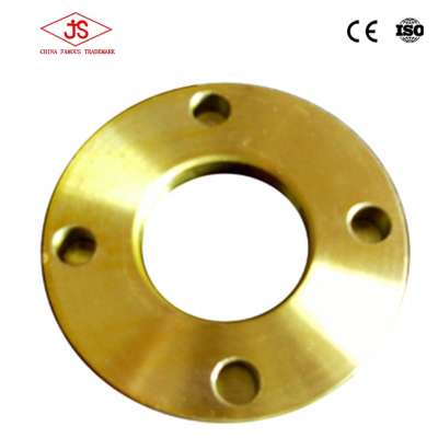 Stainless Steel Threaded Raised Face plate Pipe Flange